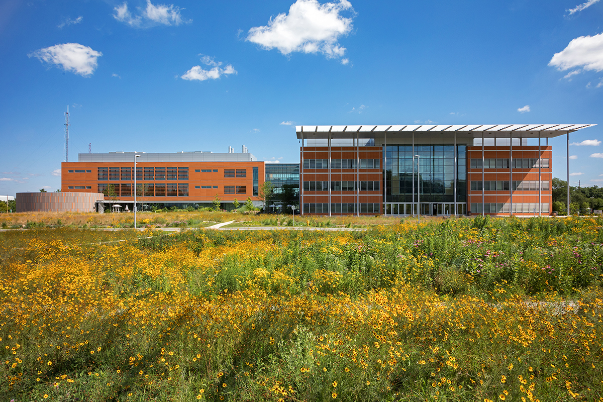 Growing Change: Restoring a Missouri Prairie at Donald Danforth Plant Science Center - Christner Architects